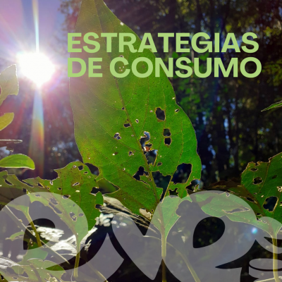 estrategias de consumo estrategias de consumo